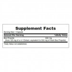 Bee Propolis 500 mg